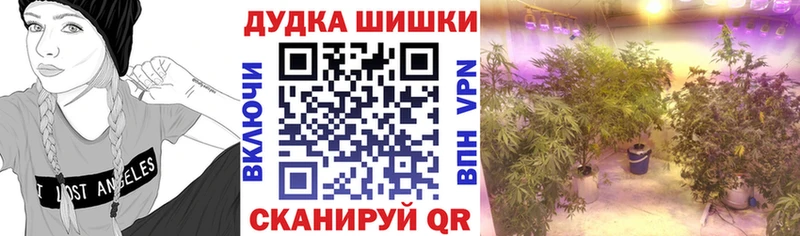 Канабис MAZAR закладка Полтавская